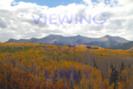 Aspen and Beckwith Mountain Kebler Pass Crested Butte CO